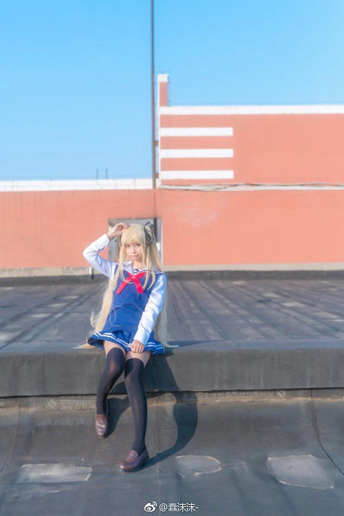 半岛web版登录入口