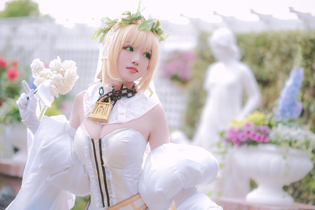 半岛web版登录入口